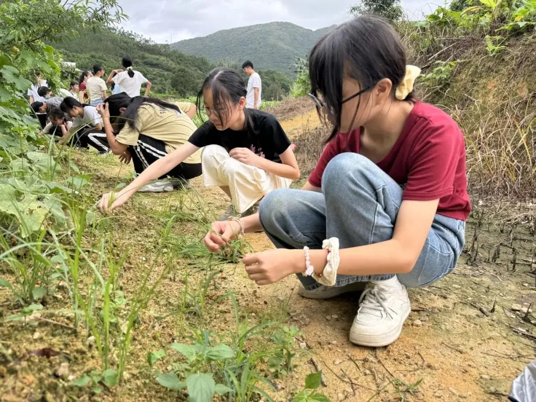 志当存高远 无愧梦少年——名智小学六年级毕业暨庆“六一”研学游 第32张 志当存高远 无愧梦少年——名智小学六年级毕业暨庆“六一”研学游 第32张