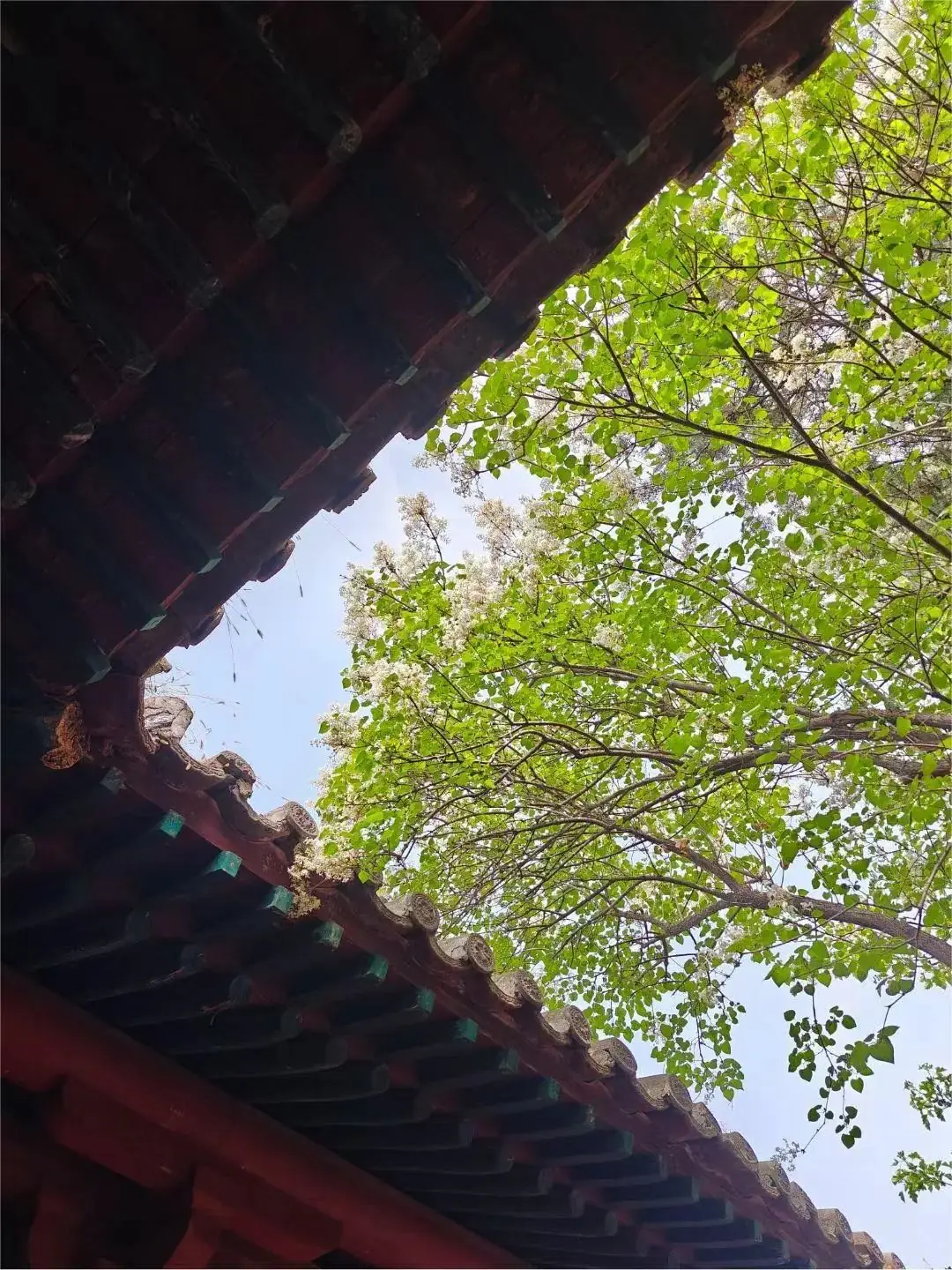 6月3日·中考倒计时打卡 第1张 6月3日·中考倒计时打卡 第1张