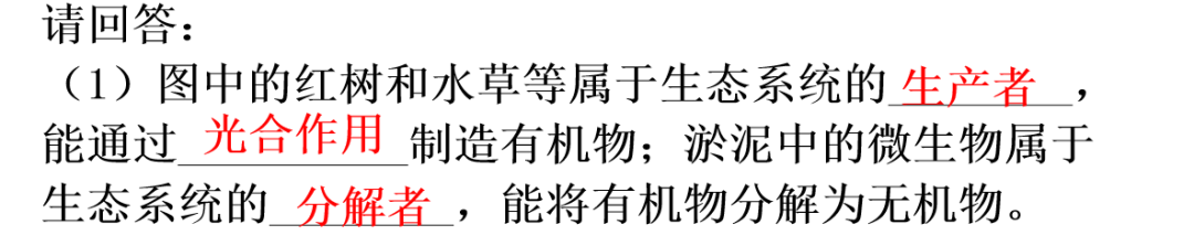 【中考生物】中考题型+解题技巧分析→读题理解 第19张 【中考生物】中考题型+解题技巧分析→读题理解 第19张