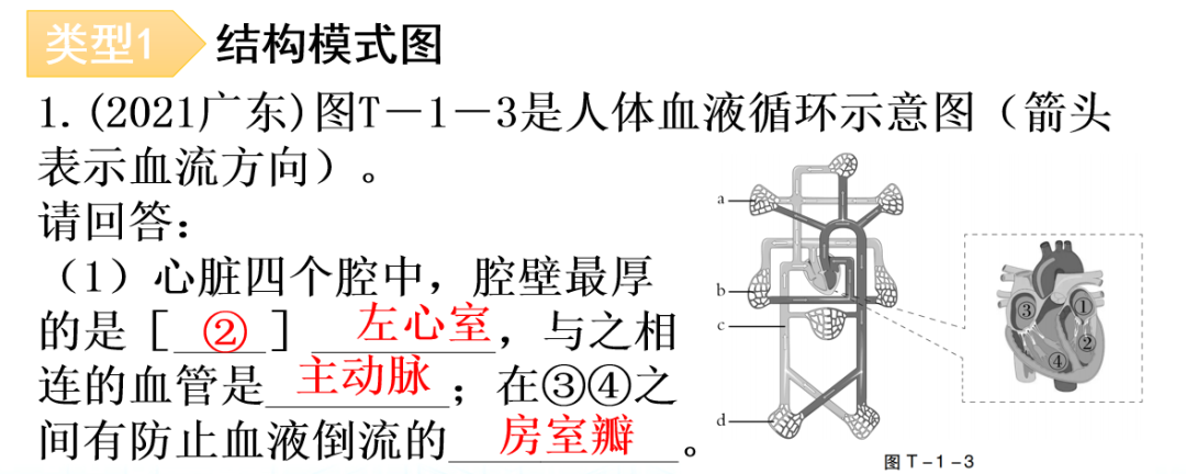 【中考生物】中考题型+解题技巧分析→读题理解 第14张 【中考生物】中考题型+解题技巧分析→读题理解 第14张