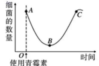 初中生物中考曲线类试题29例(含答案) 第20张 初中生物中考曲线类试题29例(含答案) 第20张