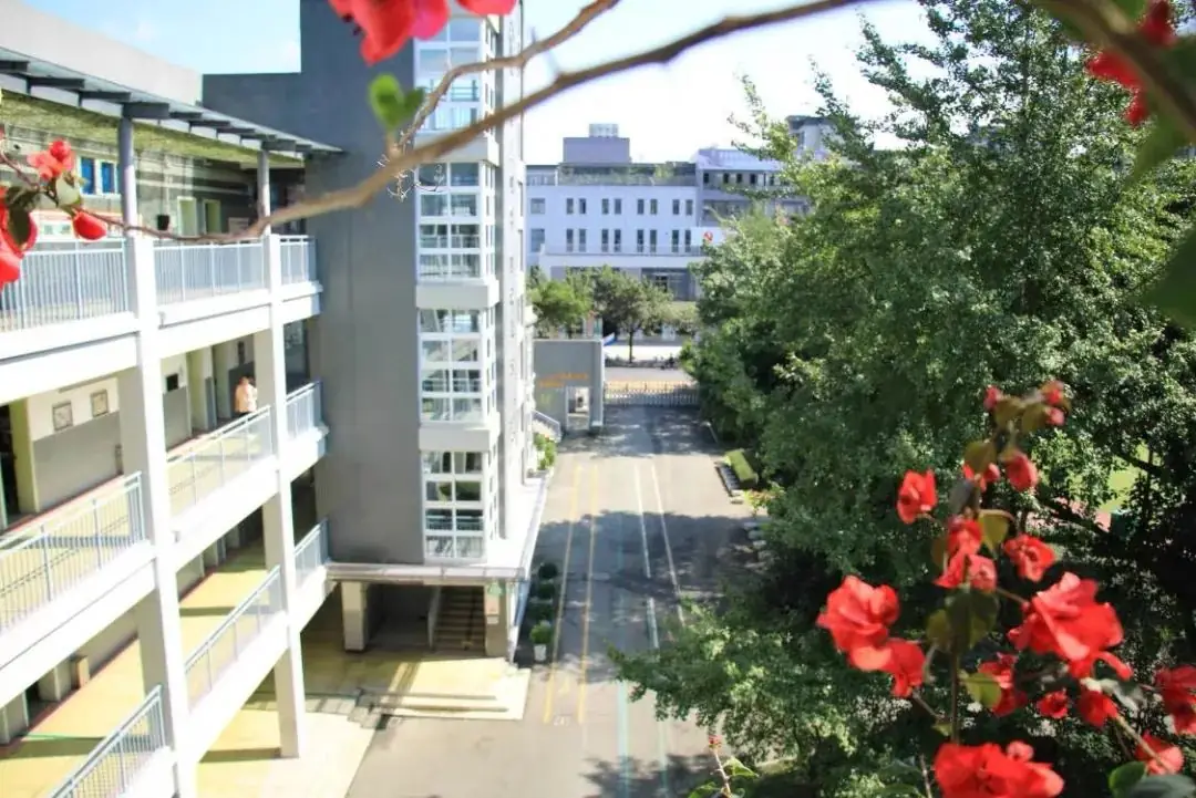 北京第二外国语学院成都附属小学北区学校2024年教师体检服务采购比选公示 第1张 北京第二外国语学院成都附属小学北区学校2024年教师体检服务采购比选公示 第1张