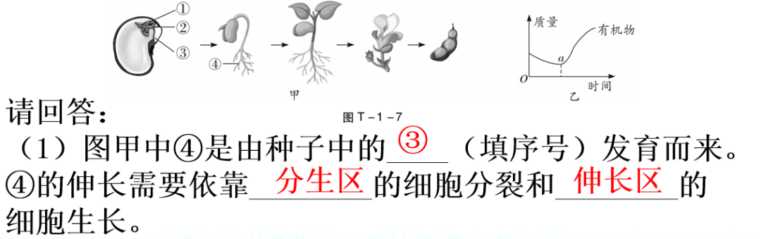 【中考生物】中考题型+解题技巧分析→读题理解 第31张 【中考生物】中考题型+解题技巧分析→读题理解 第31张