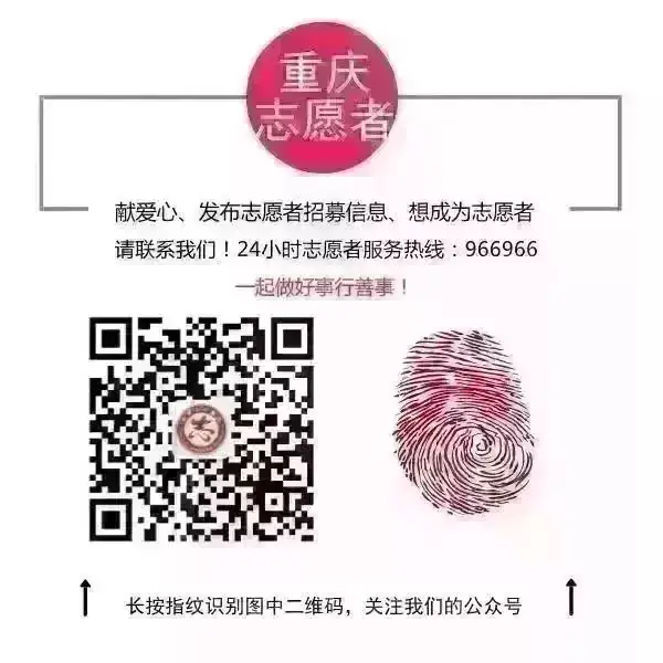 6月16—17日开始填报!今年中考联招志愿采用网络填报-第26张图片-四季读书网
