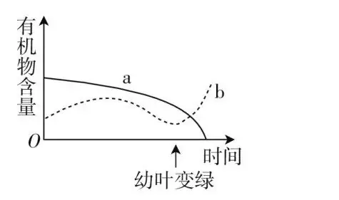 初中生物中考曲线类试题29例(含答案) 第3张 初中生物中考曲线类试题29例(含答案) 第3张