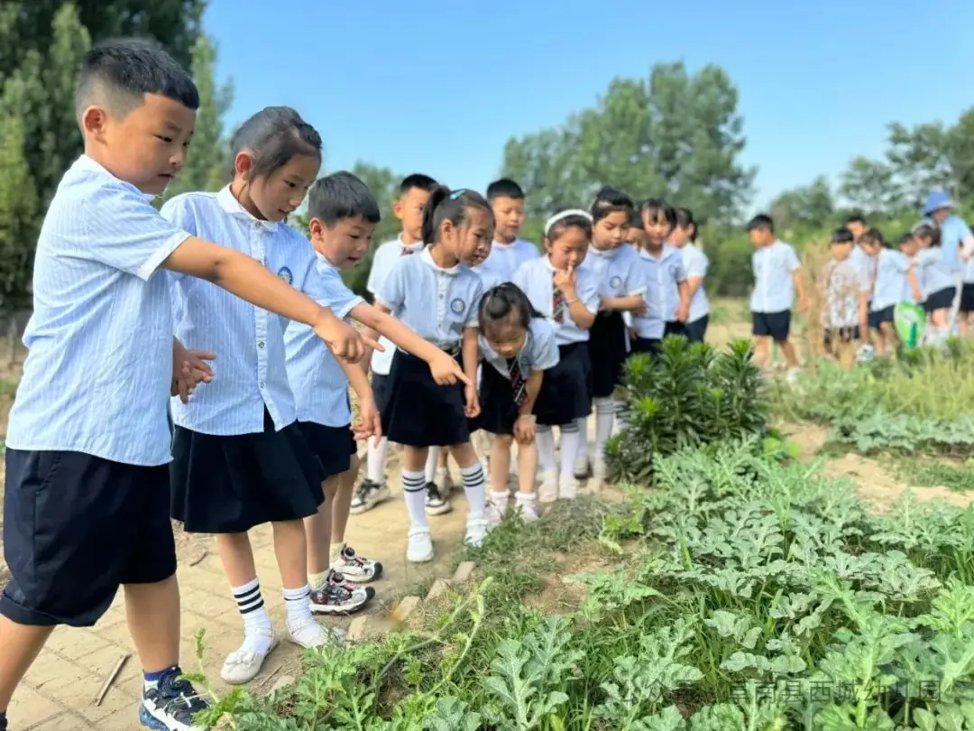 【学前教育宣传月】“初探小学 礼遇成长”——阜南县西城幼儿园大班组参观小学活动 第29张 【学前教育宣传月】“初探小学 礼遇成长”——阜南县西城幼儿园大班组参观小学活动 第29张
