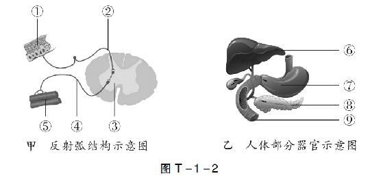 【中考生物】中考题型+解题技巧分析→读题理解 第7张 【中考生物】中考题型+解题技巧分析→读题理解 第7张
