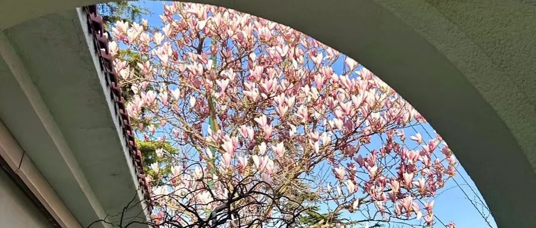 小学数学|北京市小学数学教学设计现场说课展示及答辩活动(四) 第21张
