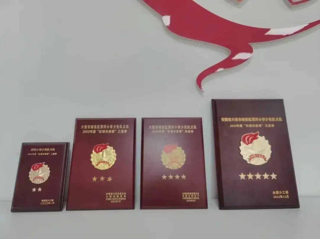 国家级荣誉!淠河小学少先队大队喜获2023年度“红领巾奖章”五星章荣誉称号 第6张