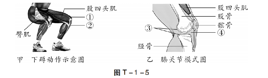 【中考生物】中考题型+解题技巧分析→读题理解 第23张 【中考生物】中考题型+解题技巧分析→读题理解 第23张