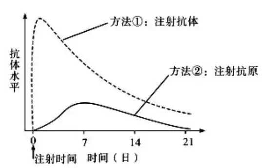 初中生物中考曲线类试题29例(含答案) 第22张 初中生物中考曲线类试题29例(含答案) 第22张