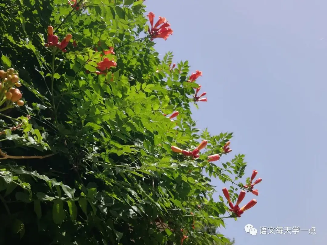 小学三年级语文下册期末测试题 第1张 小学三年级语文下册期末测试题 第1张