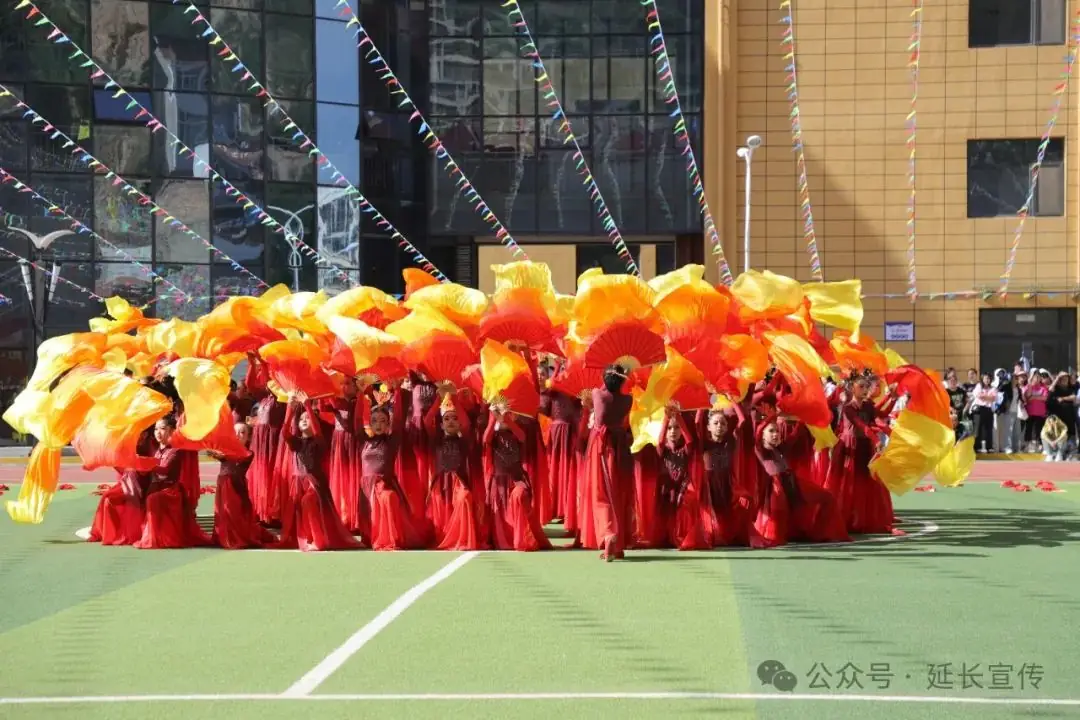 延长县各小学幼儿园举办形式多样的庆六一活动 第9张