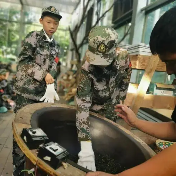 加强劳动教育,争做时代少年——记东园小学五年级学农劳动实践活动 第16张