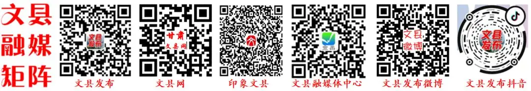 高考专题天气预报 第11张 高考专题天气预报 第11张