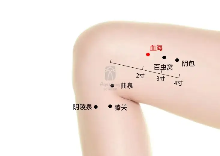 高考在即,焦虑失眠、身体不适?中医“锦囊妙计”助力考生轻装上阵 第20张
