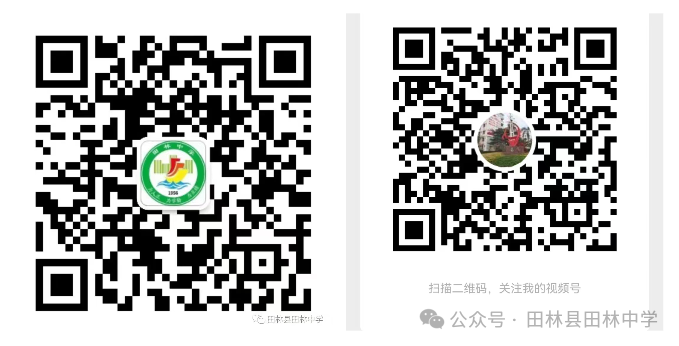心向阳光,迎战中考——田林中学开展九年级学生心理健康教育素质拓展活动 第15张 心向阳光,迎战中考——田林中学开展九年级学生心理健康教育素质拓展活动 第15张