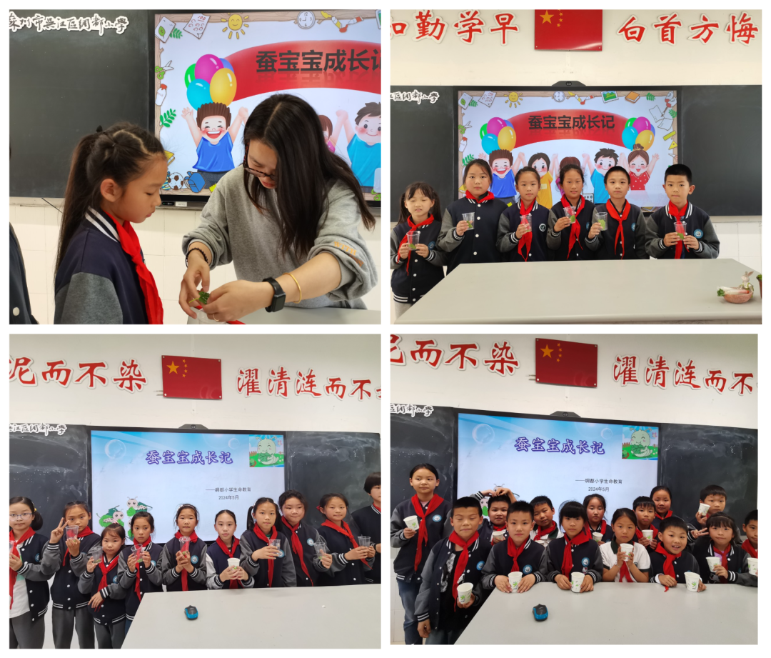 向阳而生,“润心”成长——绸都小学开展心理健康宣传教育月活动 第36张 向阳而生,“润心”成长——绸都小学开展心理健康宣传教育月活动 第36张