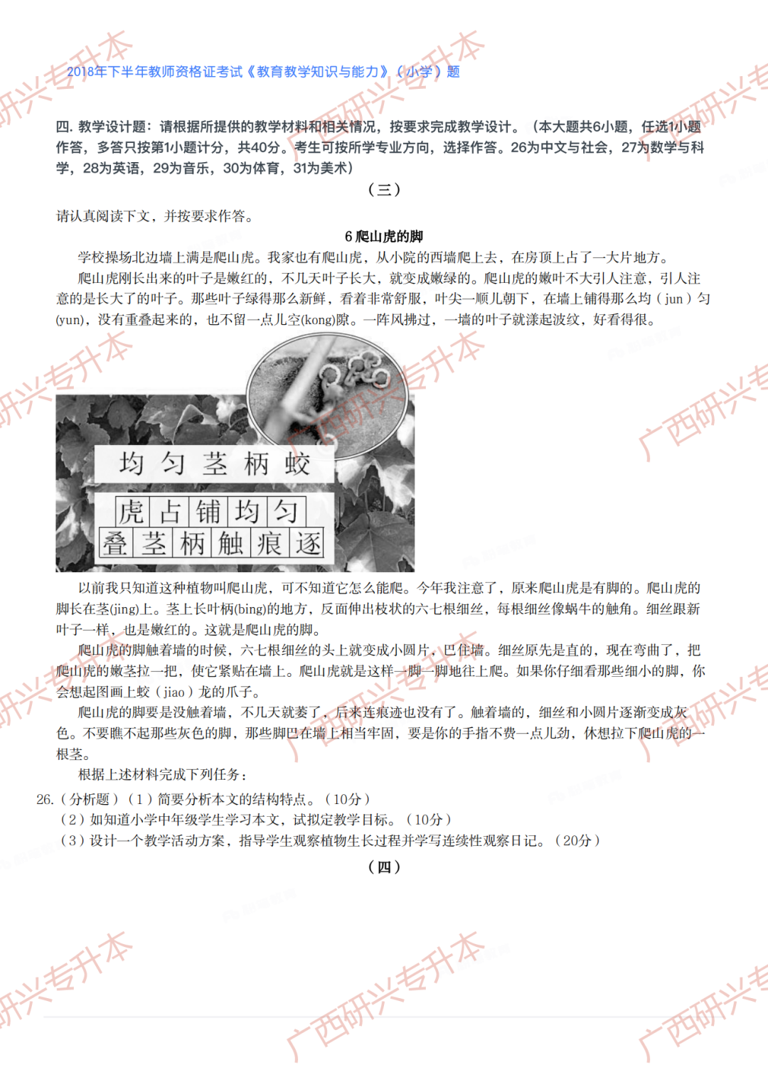 【小学教资真题】速看!2018 年下半年小学教师资格真题卷及答案解析 第3张 【小学教资真题】速看!2018 年下半年小学教师资格真题卷及答案解析 第3张