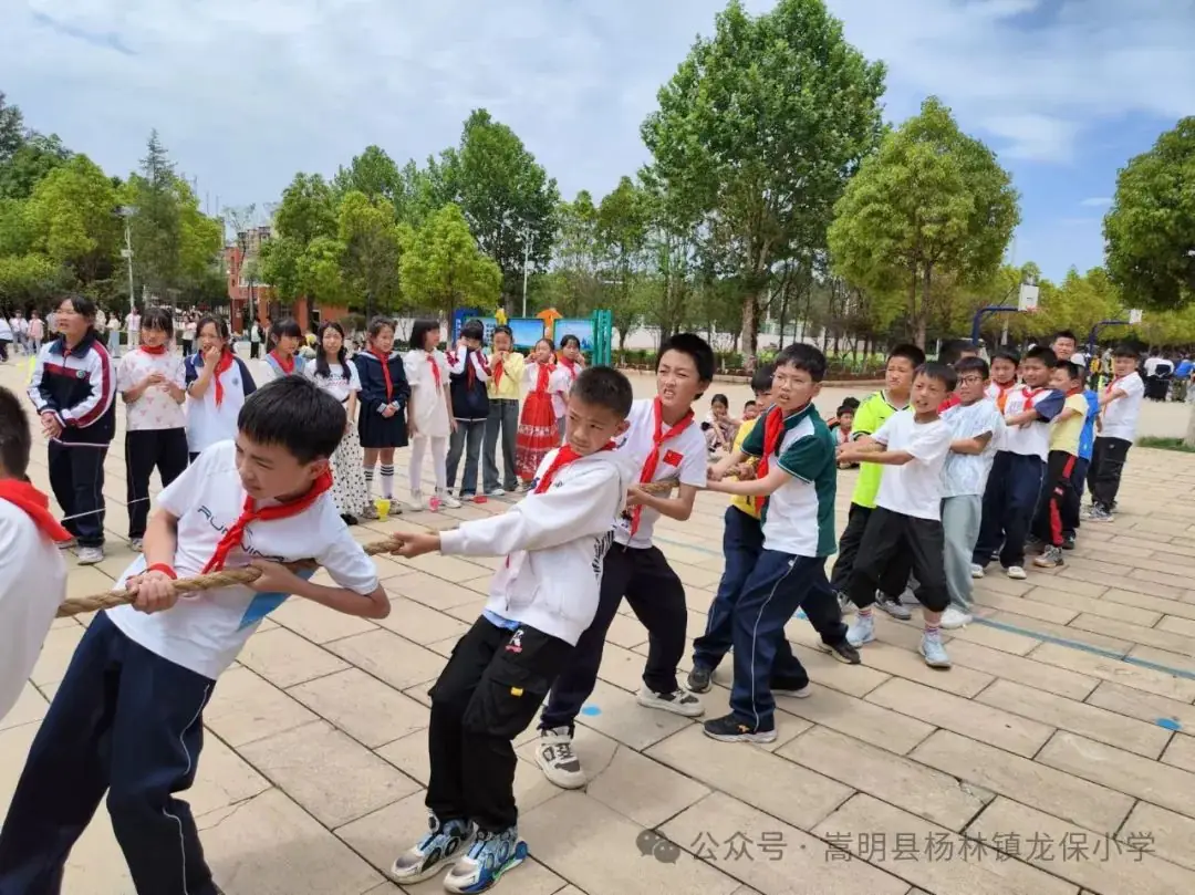 家校合力 共育未来——龙保小学庆六一主题活动 第15张 家校合力 共育未来——龙保小学庆六一主题活动 第15张