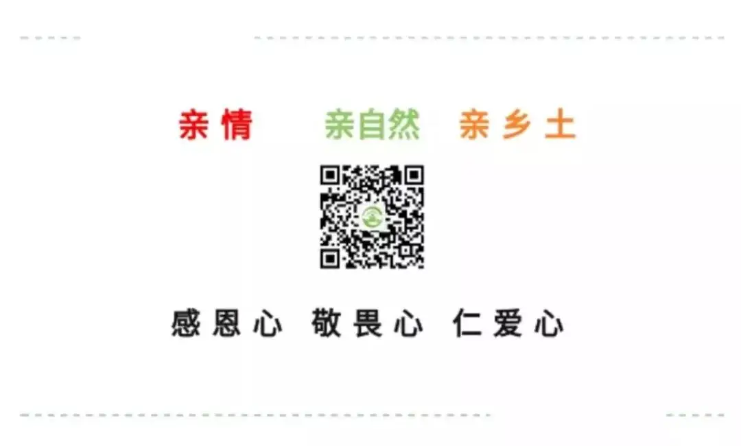 【6月报名】三亲教育小学数学新教法研讨班 第25张 【6月报名】三亲教育小学数学新教法研讨班 第25张