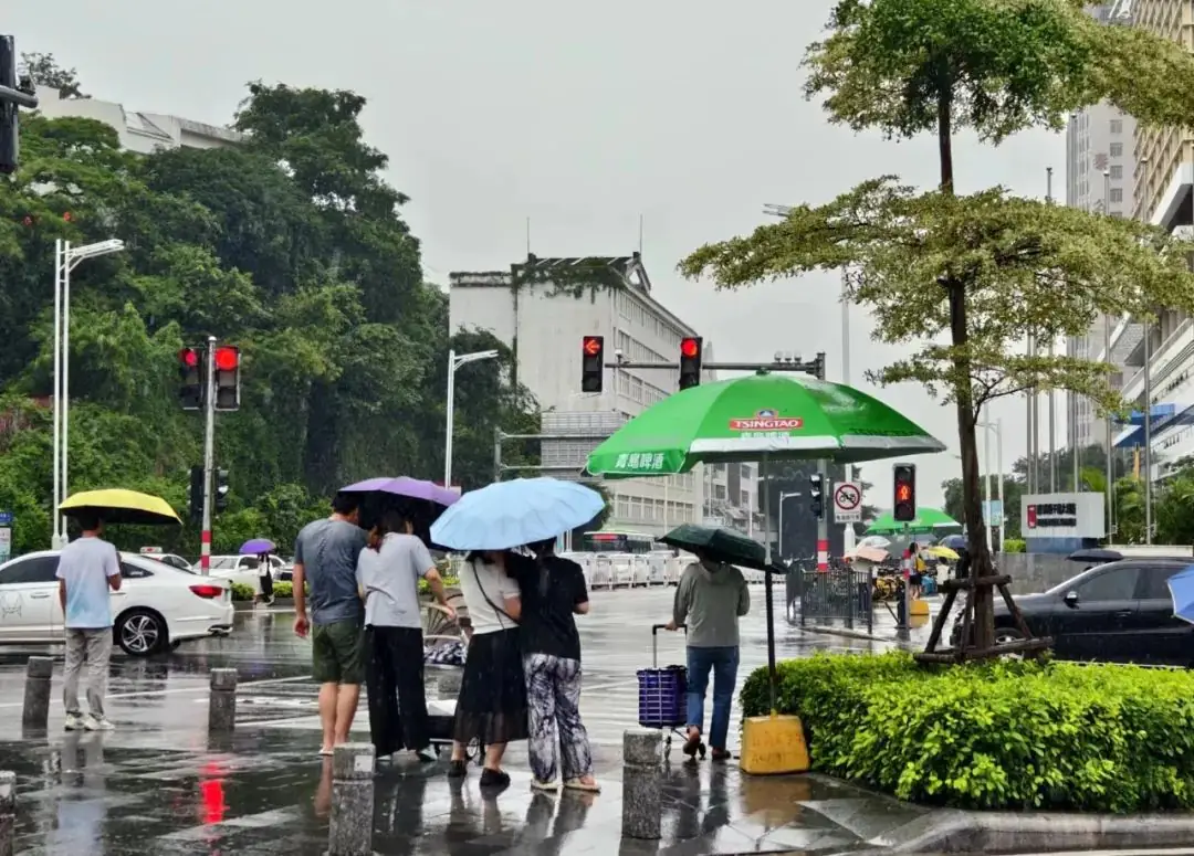 11.8℃!厦门天气大转折!雨又来了!高考期间将…… 第1张 11.8℃!厦门天气大转折!雨又来了!高考期间将…… 第1张