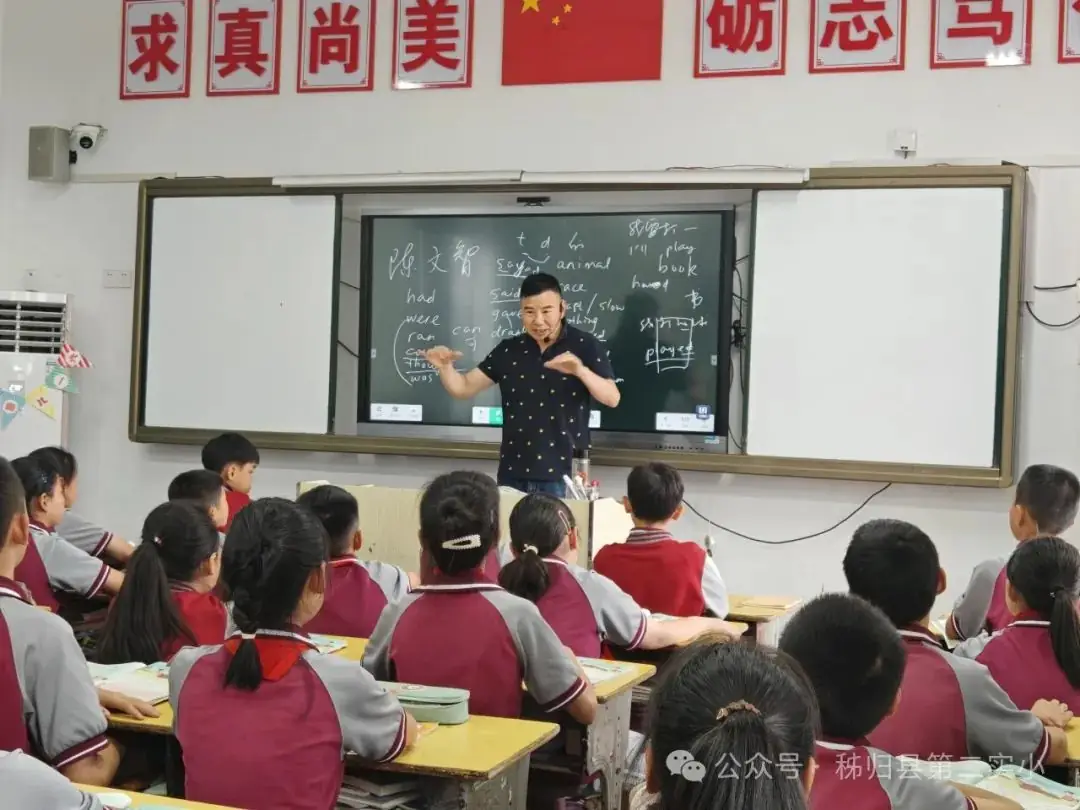 三峡大学陈文智教授莅临第二实验小学送教,助力师生共成长 第1张 三峡大学陈文智教授莅临第二实验小学送教,助力师生共成长 第1张