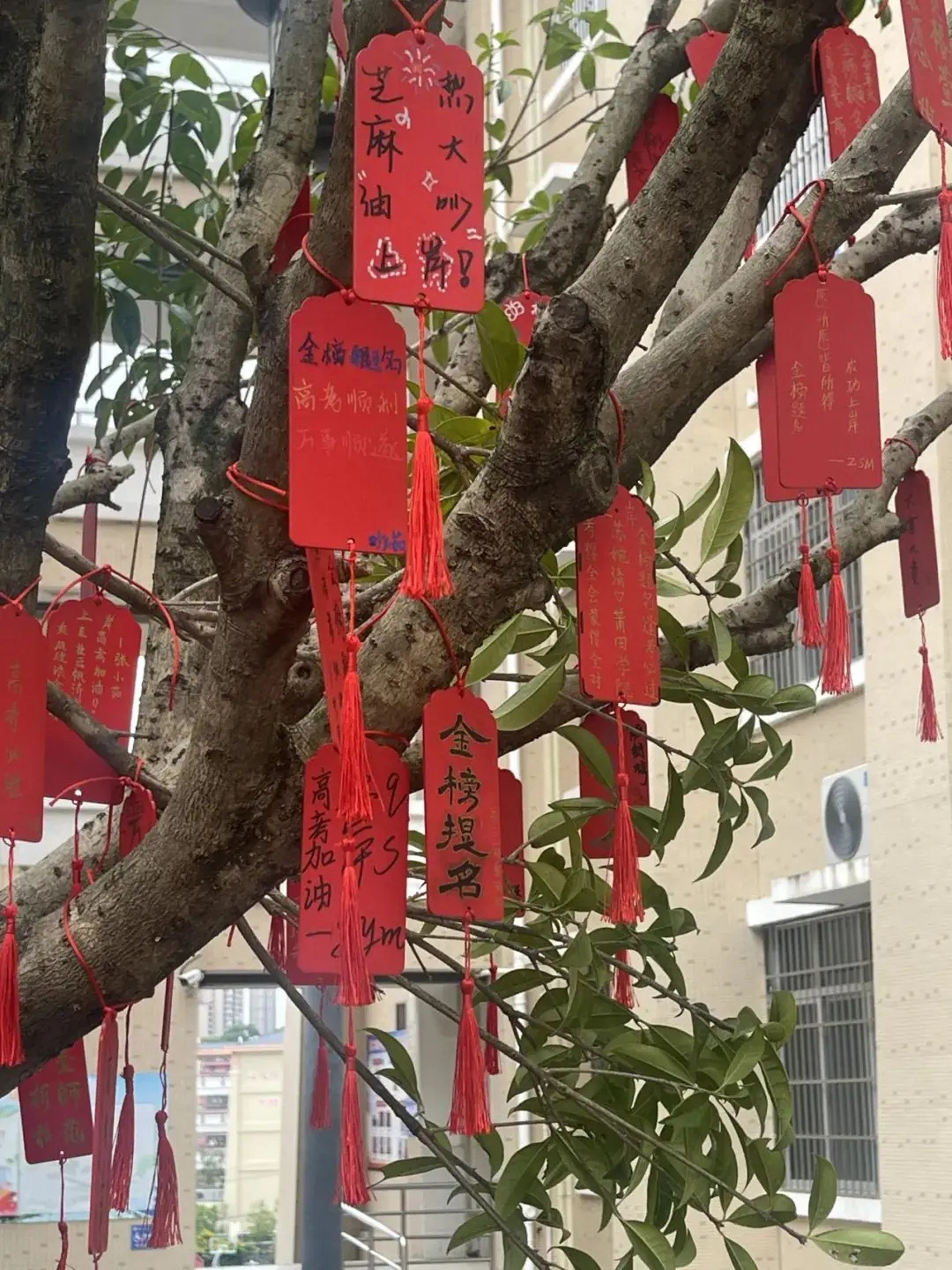 【团辅活动】许愿高考,加油未来——德化第二中学开展高考许愿暨心理减压活动 第12张 【团辅活动】许愿高考,加油未来——德化第二中学开展高考许愿暨心理减压活动 第12张