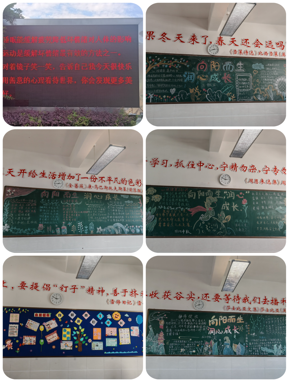 向阳而生,“润心”成长——绸都小学开展心理健康宣传教育月活动 第9张 向阳而生,“润心”成长——绸都小学开展心理健康宣传教育月活动 第9张