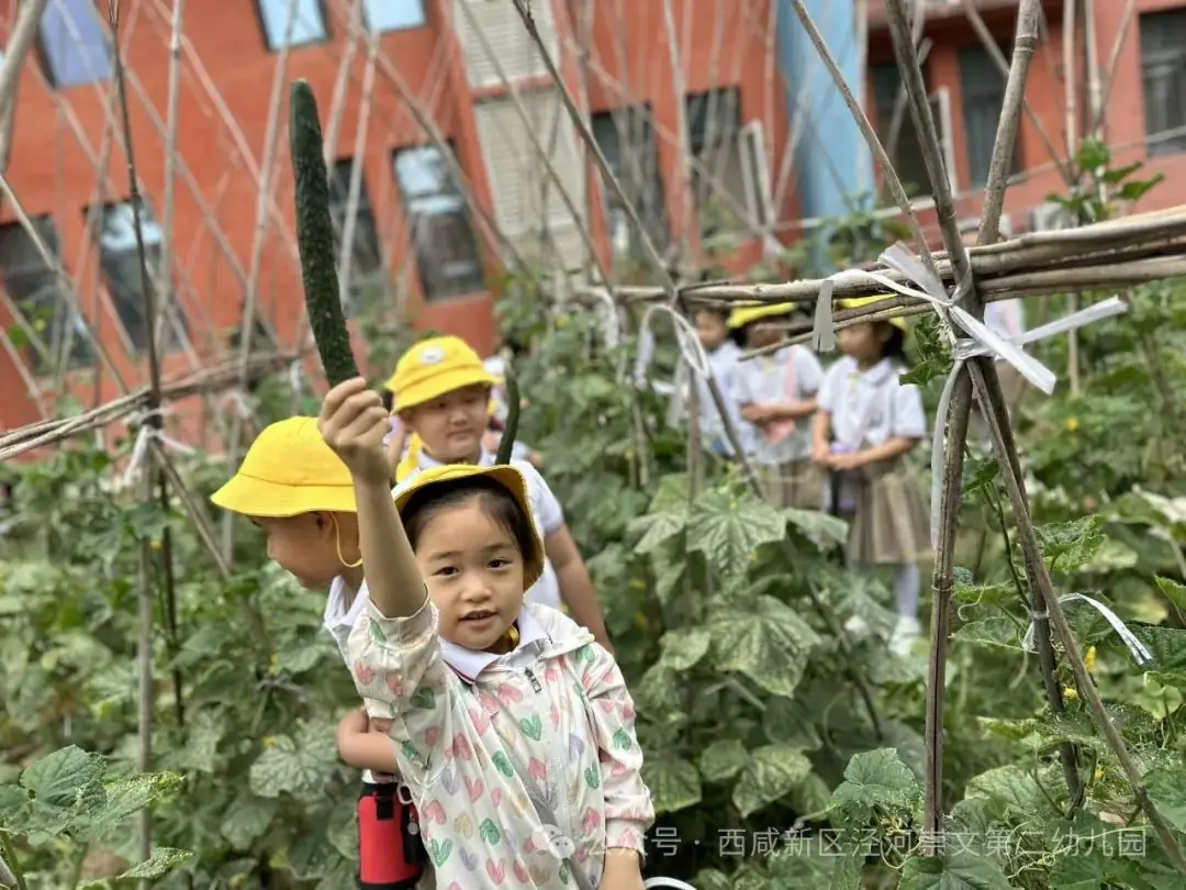 【幼小衔接】走进小学,感悟成长——西咸新区泾河崇文第二幼儿园走进小学活动纪实 第26张 【幼小衔接】走进小学,感悟成长——西咸新区泾河崇文第二幼儿园走进小学活动纪实 第26张