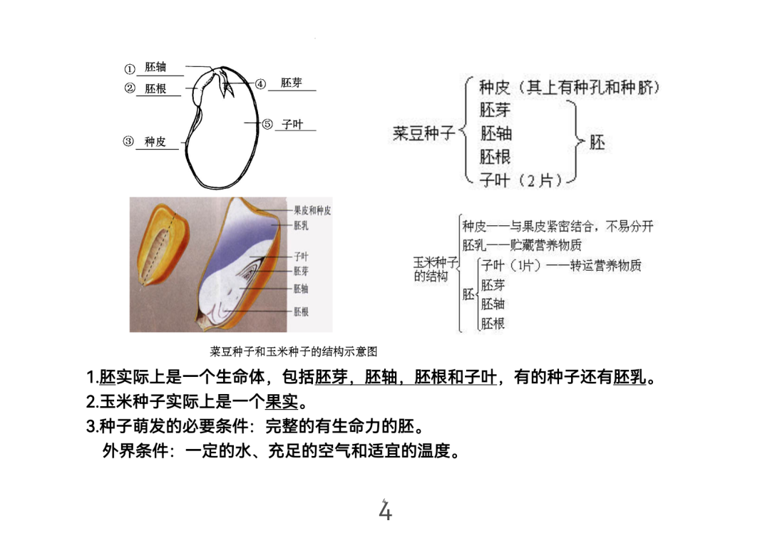2024年中考生物考前课本重点图片回顾 第4张 2024年中考生物考前课本重点图片回顾 第4张