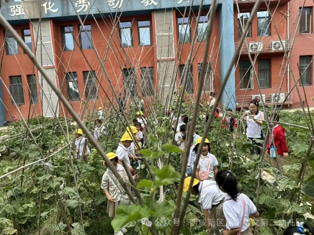【幼小衔接】走进小学,感悟成长——西咸新区泾河崇文第二幼儿园走进小学活动纪实 第23张 【幼小衔接】走进小学,感悟成长——西咸新区泾河崇文第二幼儿园走进小学活动纪实 第23张