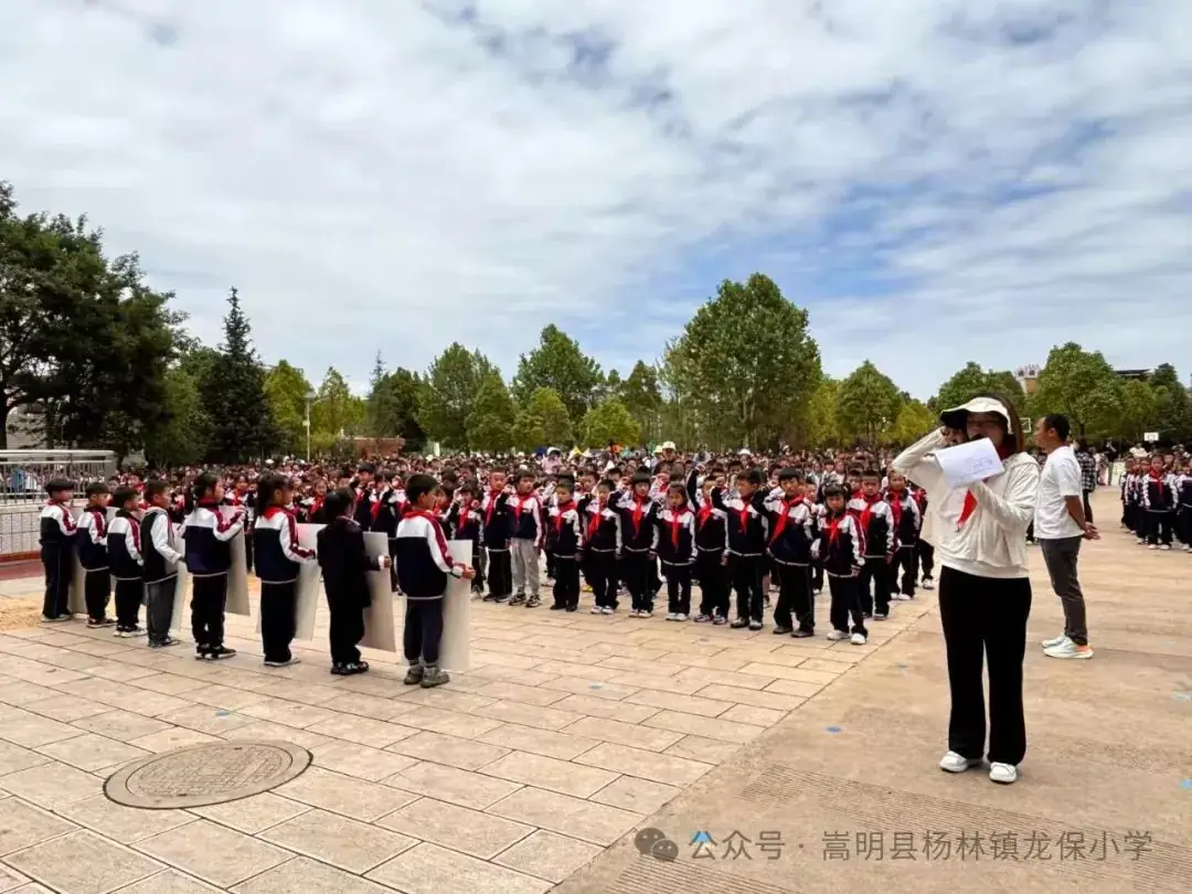 家校合力 共育未来——龙保小学庆六一主题活动 第5张 家校合力 共育未来——龙保小学庆六一主题活动 第5张