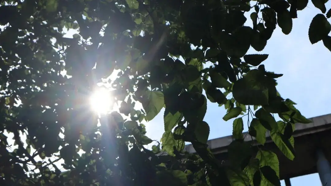 高考加油!全力以赴 未来可期-第28张图片-四季读书网 高考加油!全力以赴 未来可期-第28张图片-四季读书网