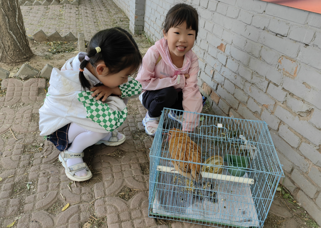 【西苑园动态】走进小学校园 科学幼小衔接 ——榆次七幼教育集团西苑园大班幼儿走进小学-第11张图片-四季读书网 【西苑园动态】走进小学校园 科学幼小衔接 ——榆次七幼教育集团西苑园大班幼儿走进小学-第11张图片-四季读书网