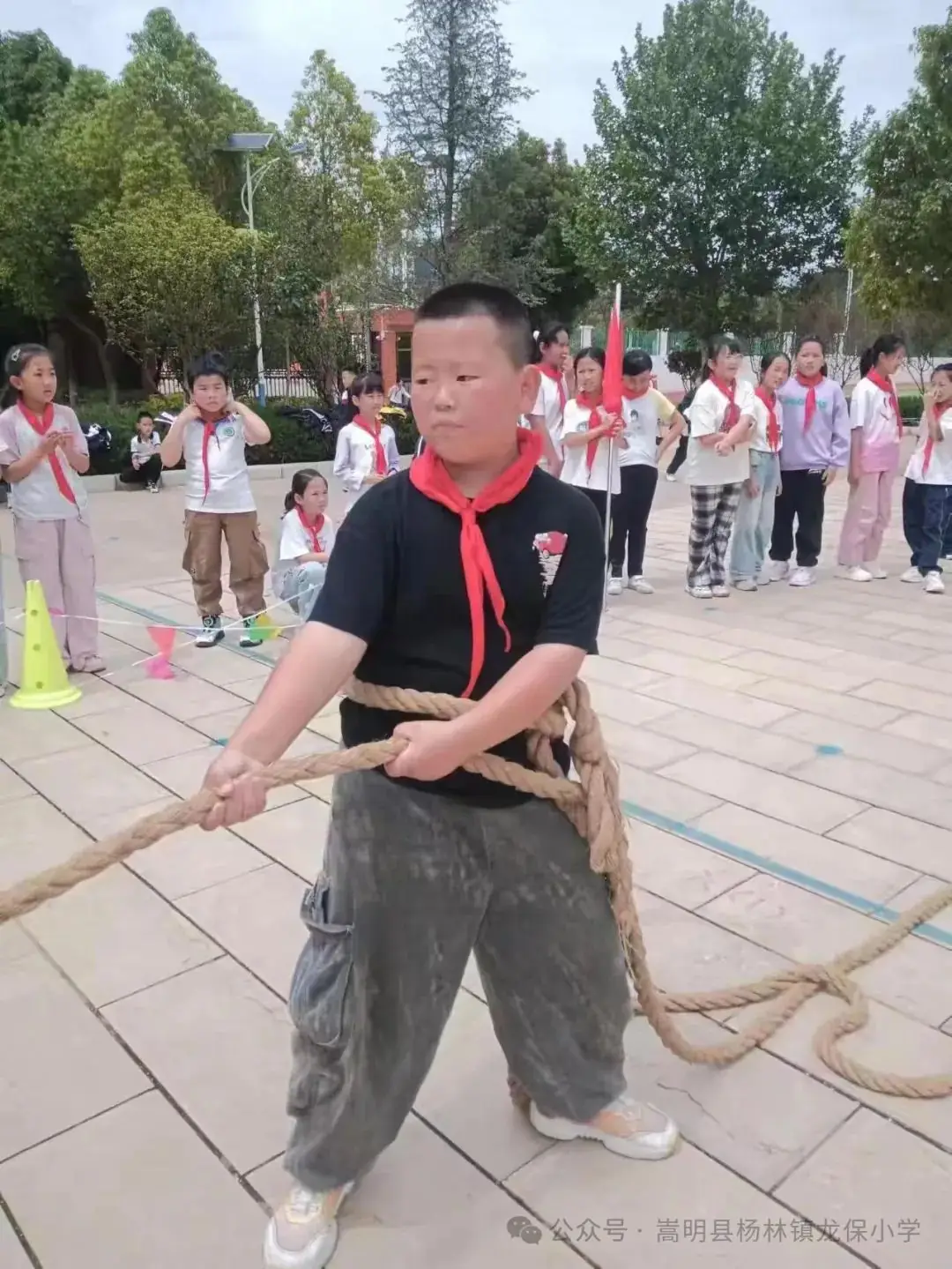 家校合力 共育未来——龙保小学庆六一主题活动 第16张 家校合力 共育未来——龙保小学庆六一主题活动 第16张