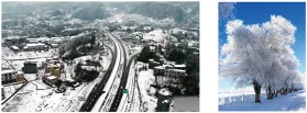 【中考物理】2024年中考物理考前20天终极冲刺攻略(倒计时17天)——物态变化 第53张 【中考物理】2024年中考物理考前20天终极冲刺攻略(倒计时17天)——物态变化 第53张