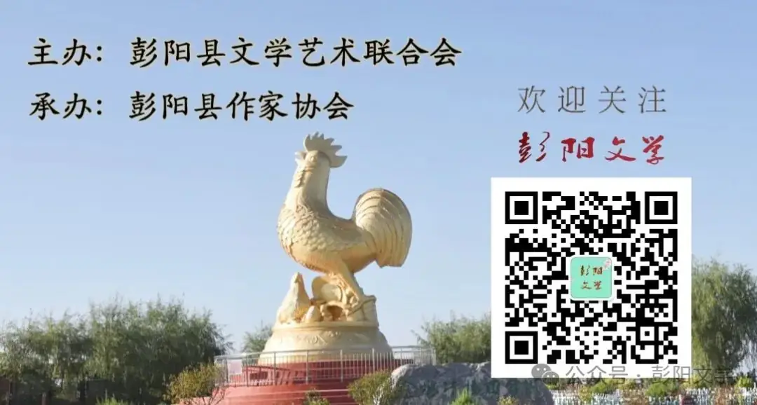 校园文学/彭阳县第四小学/张馨怡 /在书中追寻梦想 第5张