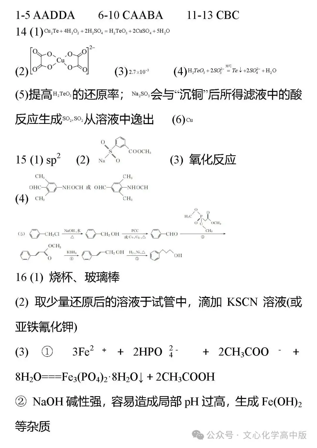 【高考复习】2024届高考临考押题11 综合模拟2(可下载Word版本) 第17张 【高考复习】2024届高考临考押题11 综合模拟2(可下载Word版本) 第17张