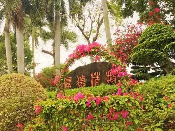 高考加油|青春逐梦,未来可期 第3张 高考加油|青春逐梦,未来可期 第3张