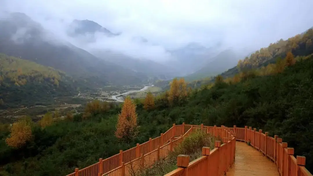 高考结束,来大通给心灵放个假吧 第30张