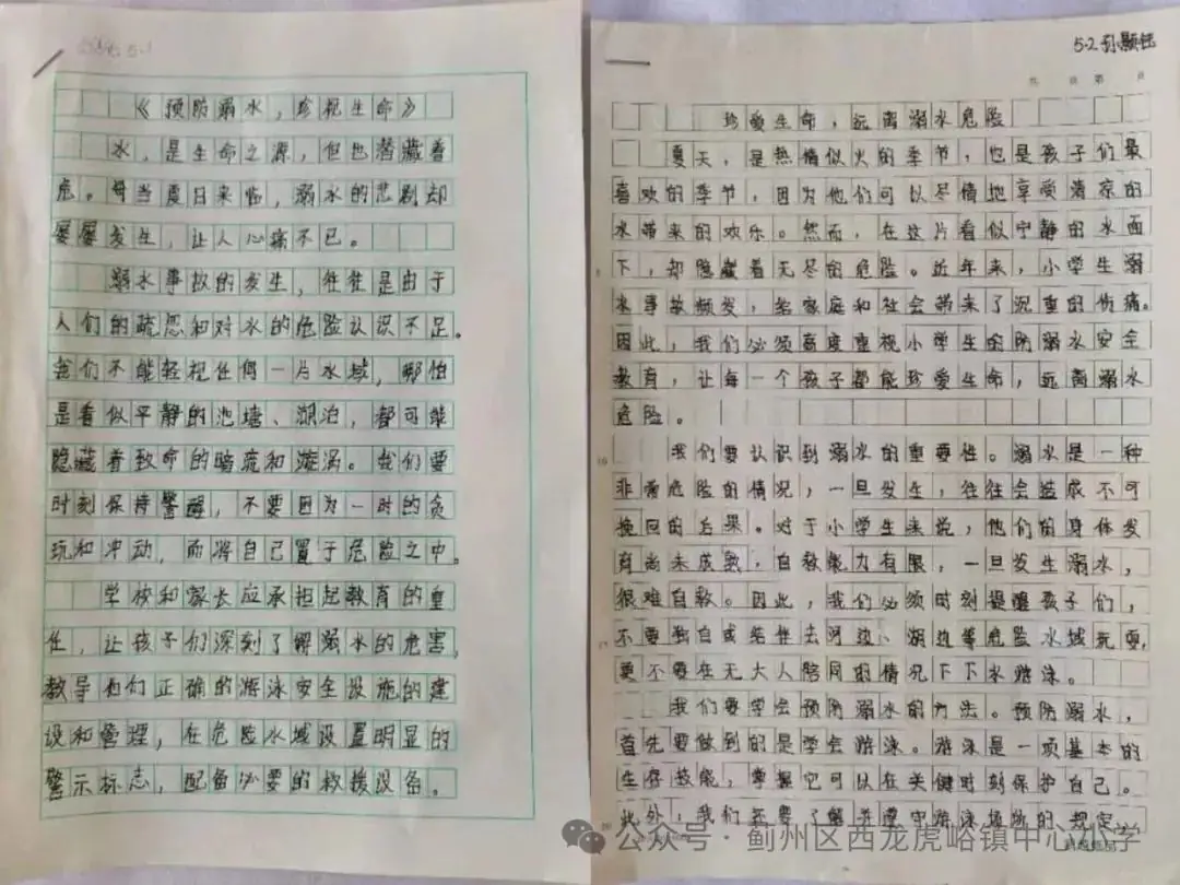 预防溺水 警钟长鸣——西龙虎峪镇中心小学开展防溺水安全教育活动 第20张