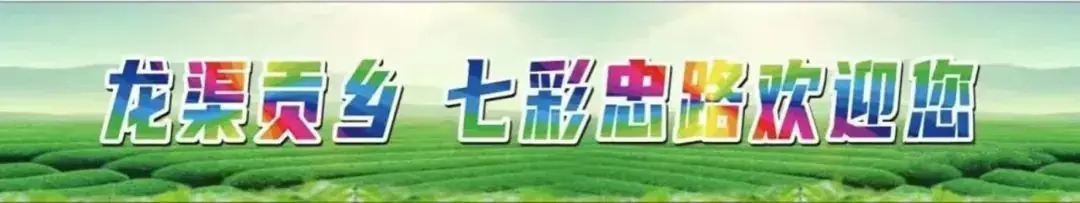 利川市忠路镇老屋基小学举行庆“六一”活动 第5张 利川市忠路镇老屋基小学举行庆“六一”活动 第5张