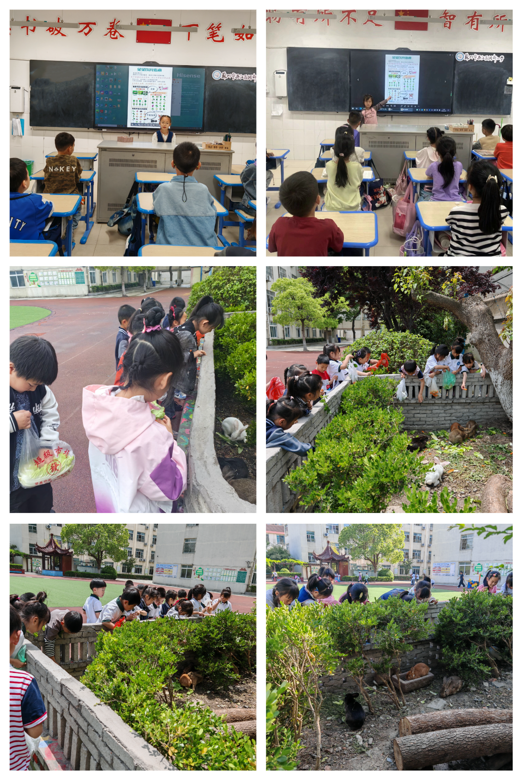 向阳而生,“润心”成长——绸都小学开展心理健康宣传教育月活动 第43张 向阳而生,“润心”成长——绸都小学开展心理健康宣传教育月活动 第43张
