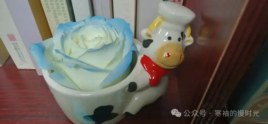 高考最后100天我在干什么 第4张