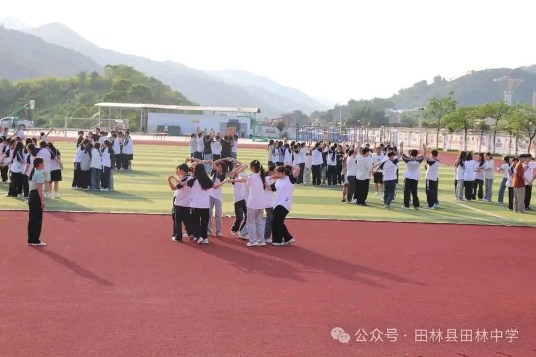心向阳光,迎战中考——田林中学开展九年级学生心理健康教育素质拓展活动 第11张