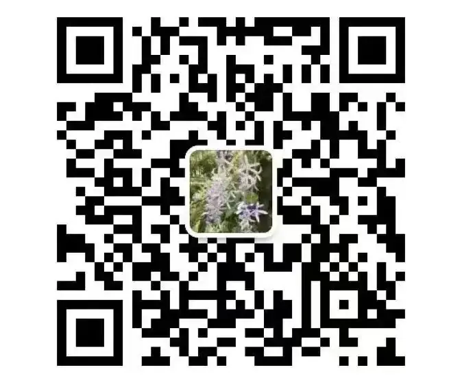 初探小学  衔接成长 第56张