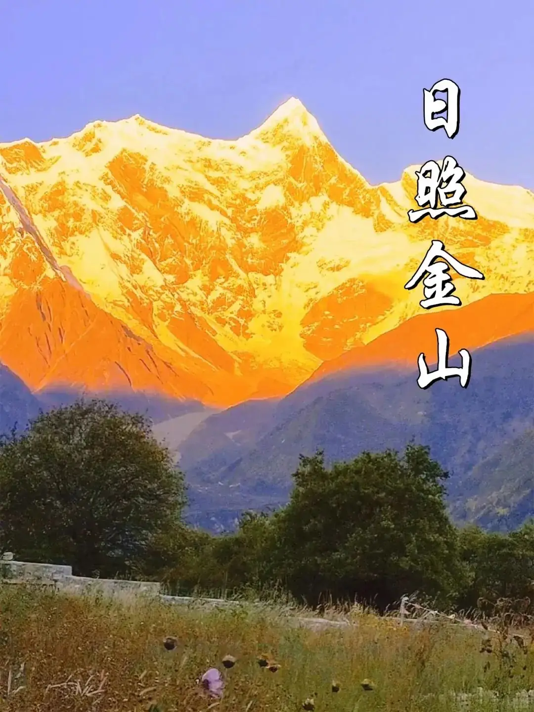 2024高考锦鲤丨 30秒转发接好运,考神附体,高考顺顺顺~ 第30张 2024高考锦鲤丨 30秒转发接好运,考神附体,高考顺顺顺~ 第30张