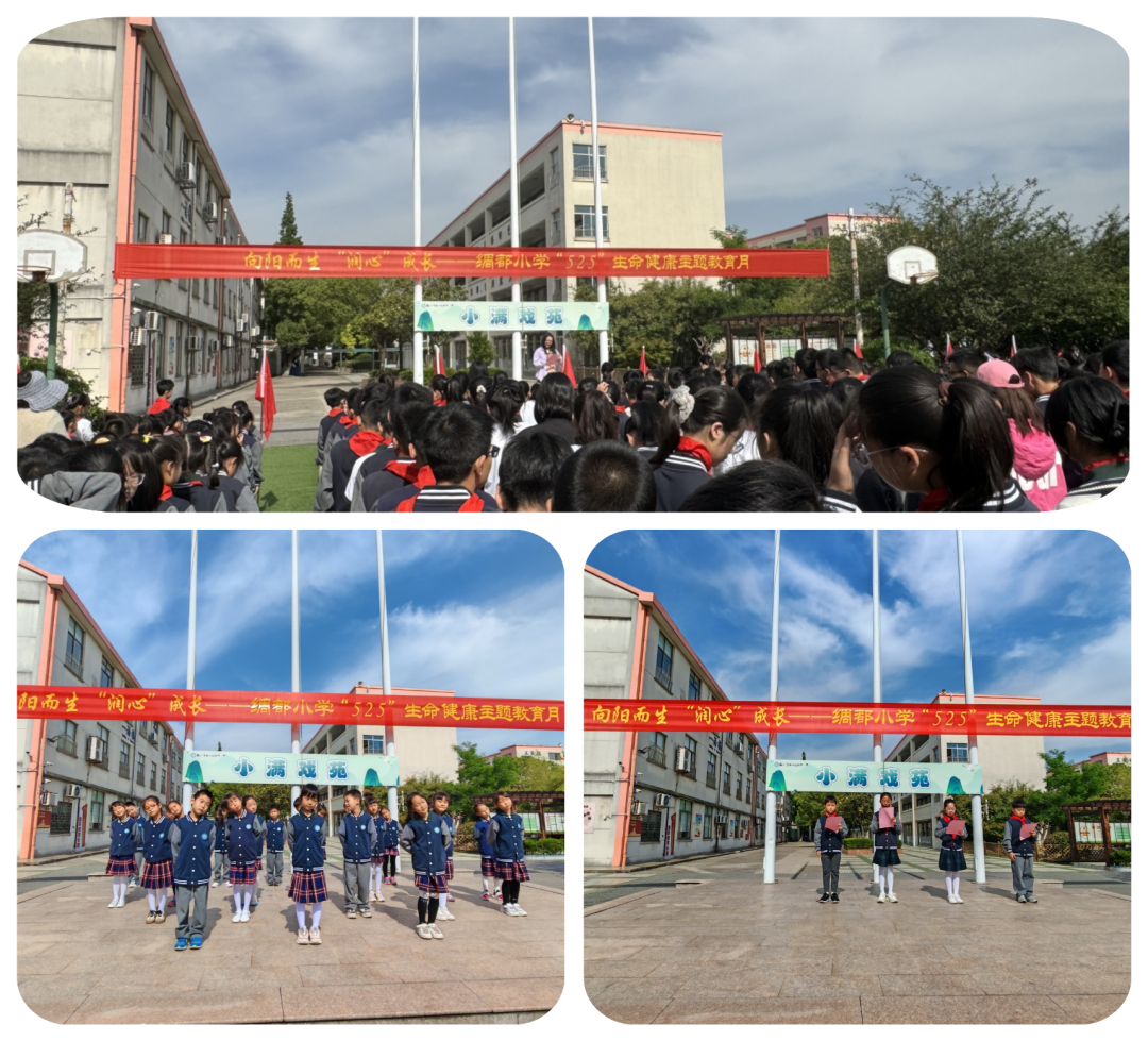 向阳而生,“润心”成长——绸都小学开展心理健康宣传教育月活动 第5张 向阳而生,“润心”成长——绸都小学开展心理健康宣传教育月活动 第5张
