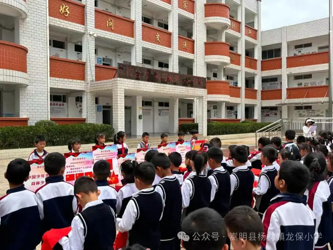 家校合力 共育未来——龙保小学庆六一主题活动 第2张 家校合力 共育未来——龙保小学庆六一主题活动 第2张